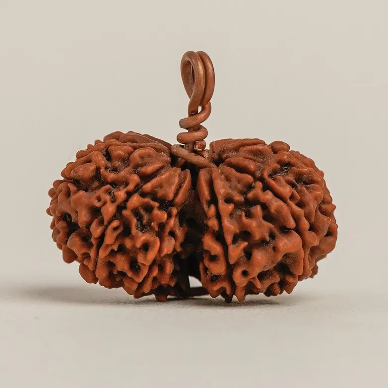 Gauri-Shankar Rudraksha