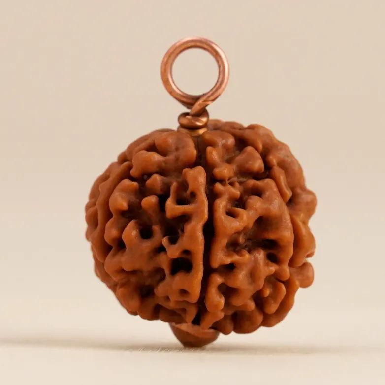 Shanmukhi (six faced) Rudraksha Bead