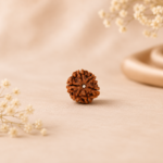 6facedrudraksha3