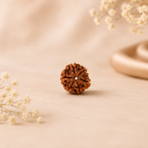 6facedrudraksha3