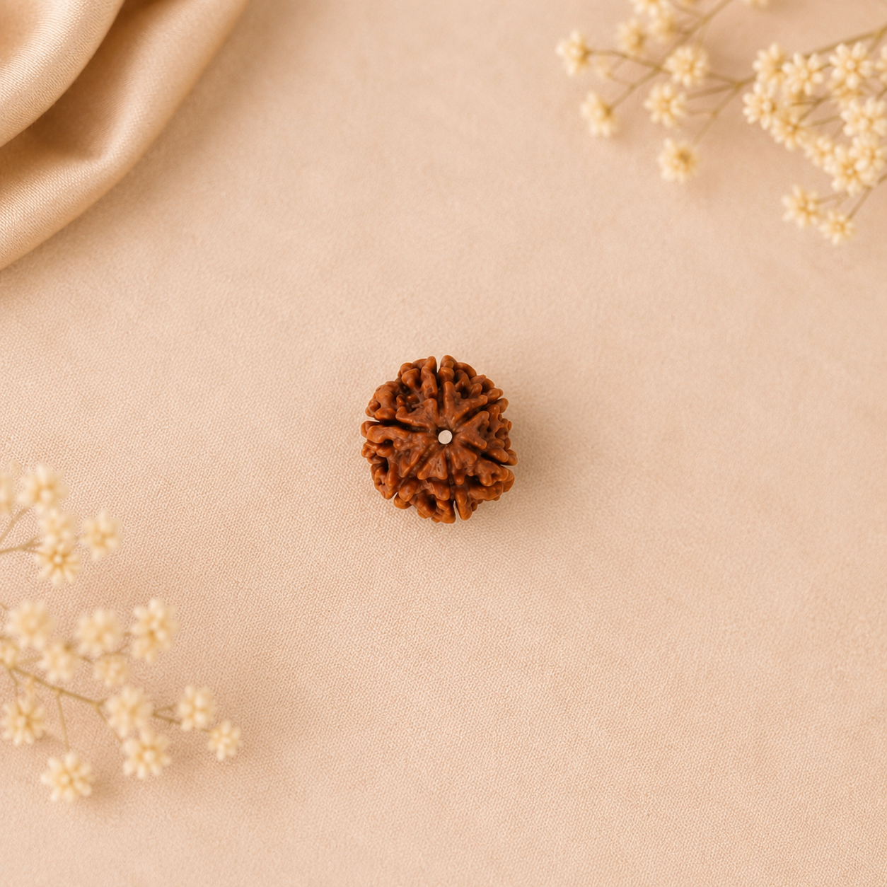 6facedrudraksha4 6facedrudraksha4