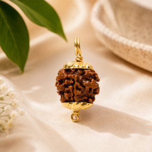 1 mukhi nepali gol dana rudraksha