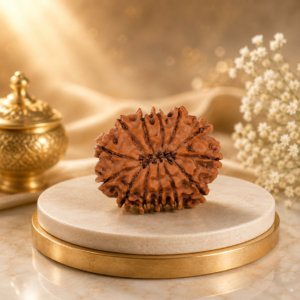 13-mukhi-rudraksha